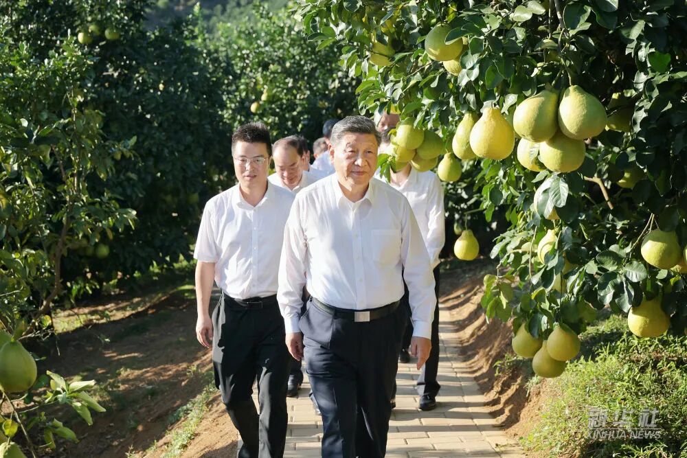 首页-人生就是博(官网)